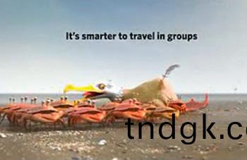 还是组队出门比较安全